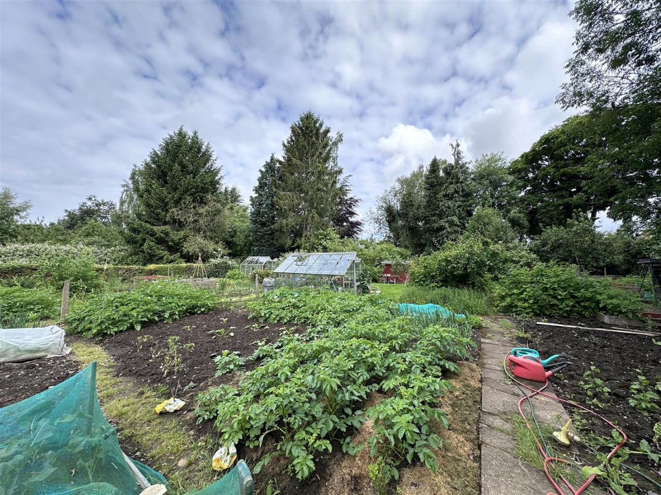 Veg Plot