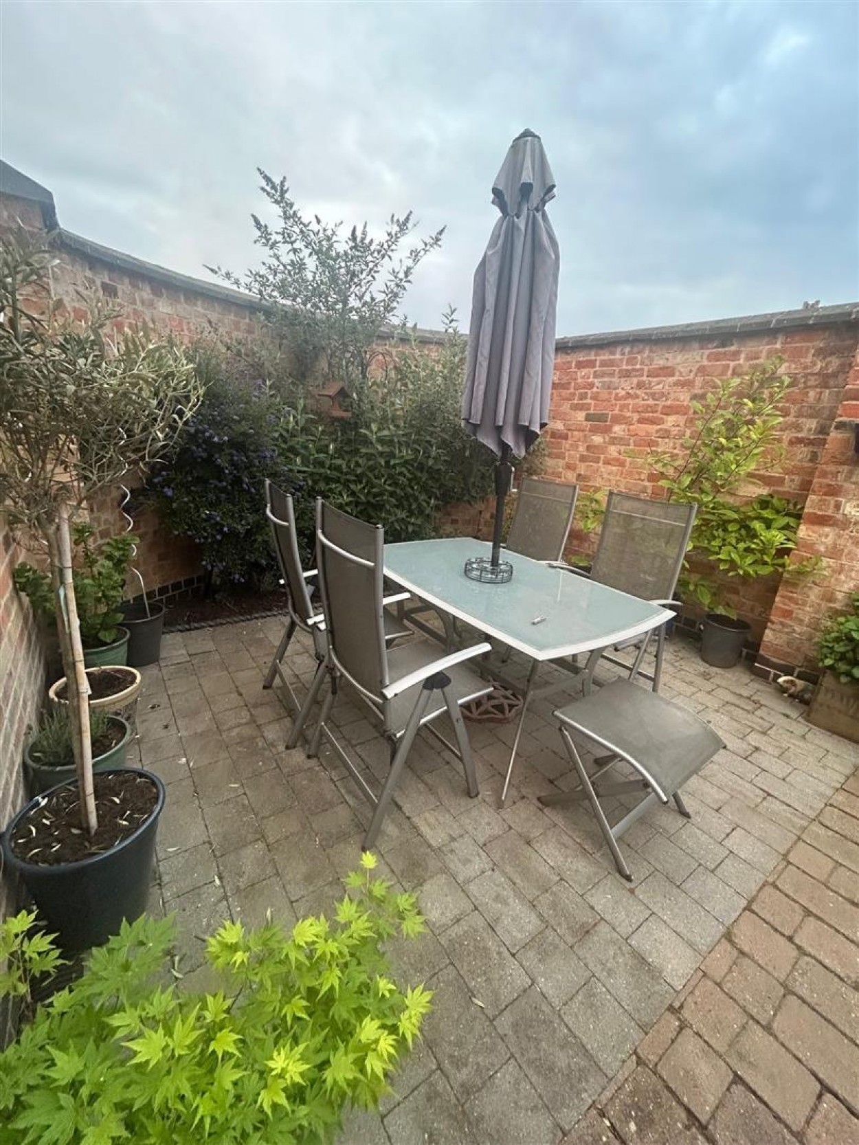 GARDEN 3.jpg