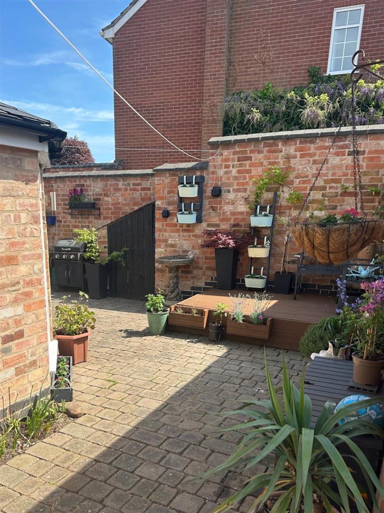 GARDEN 2.jpg